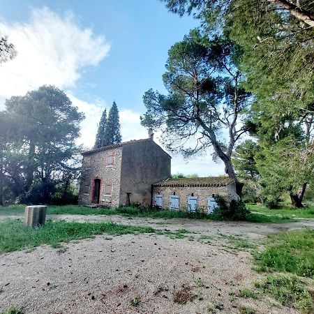 Mazet Du Chateau Joyeux De Violet Pépieux Kültér fotó
