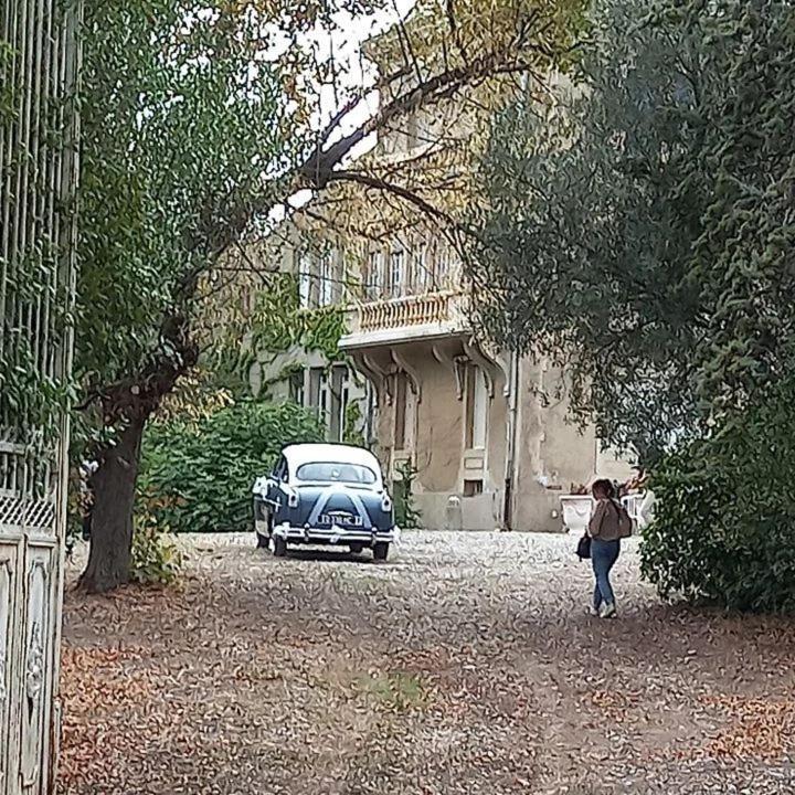 Mazet Du Chateau Joyeux De Violet Pépieux Kültér fotó